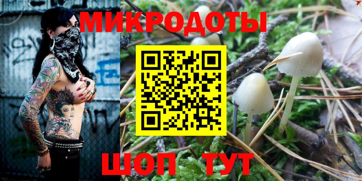 Псилоцибиновые грибы GOLDEN TEACHER Прохладный